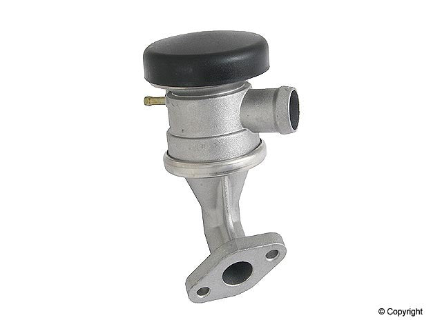 Genuine Parts Company Fuse