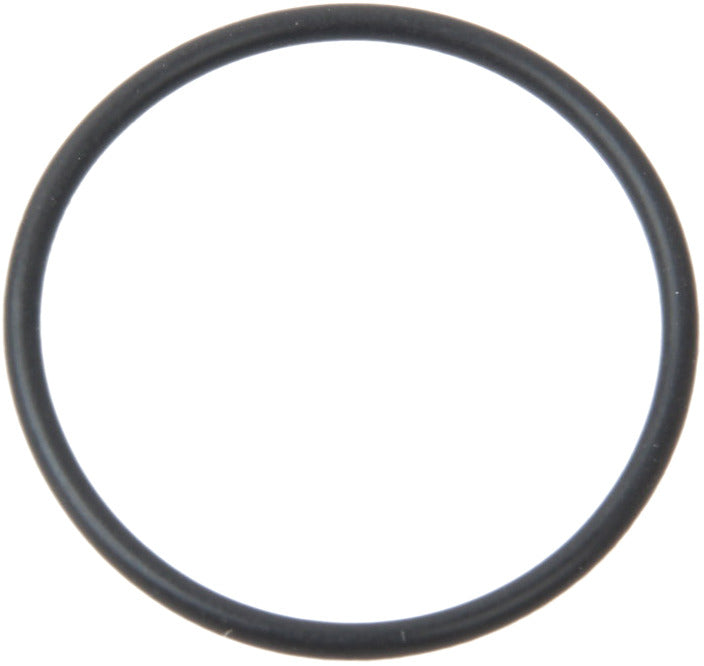 Genuine Parts Company Fuel Pump O-Ring