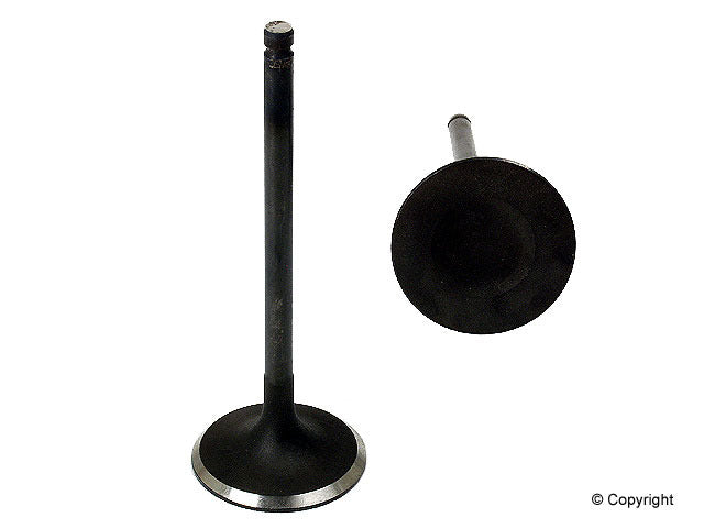 Genuine Parts Company Engine Intake Valve