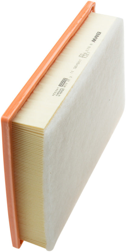 Genuine Parts Company Air Filter
