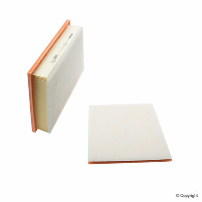 Genuine Parts Company Air Filter
