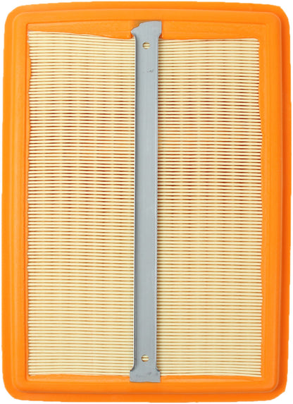 Genuine Parts Company Air Filter