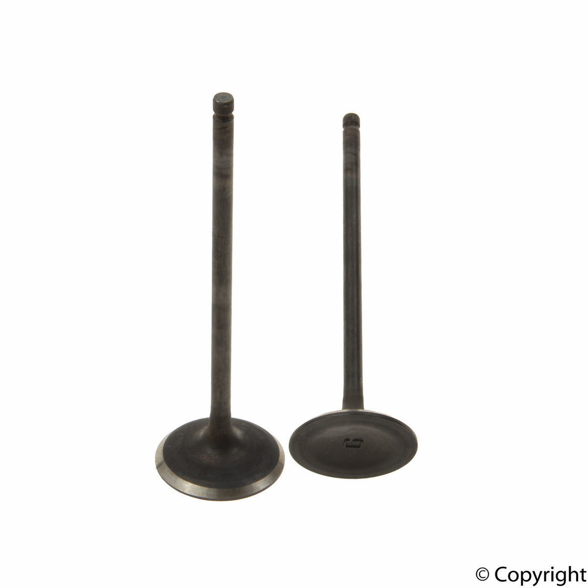 Genuine Parts Company Engine Intake Valve