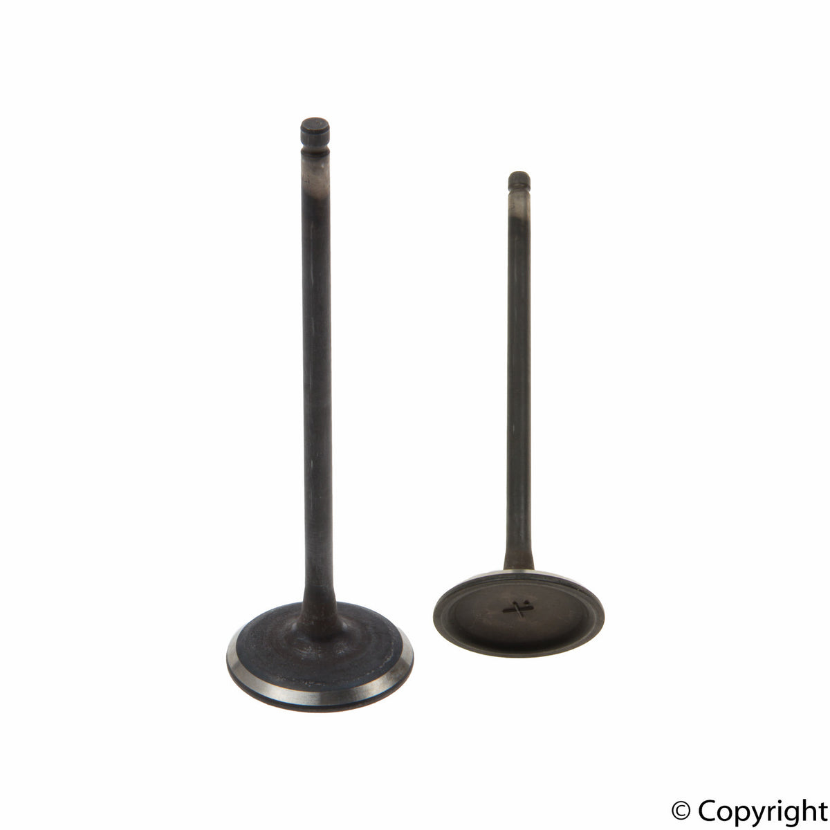 Genuine Parts Company Engine Intake Valve