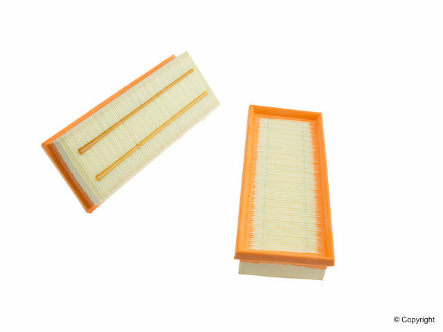 Genuine Parts Company Air Filter