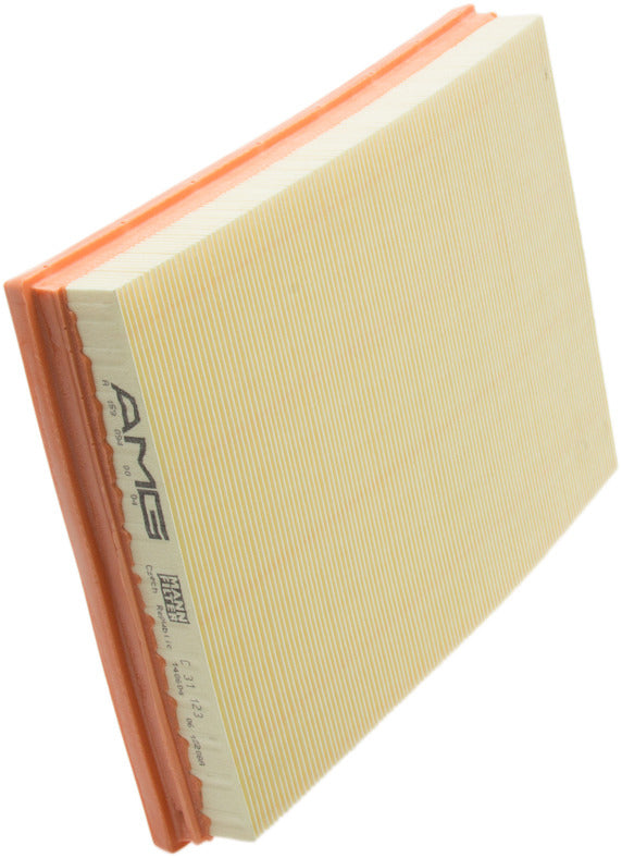 Genuine Parts Company Air Filter