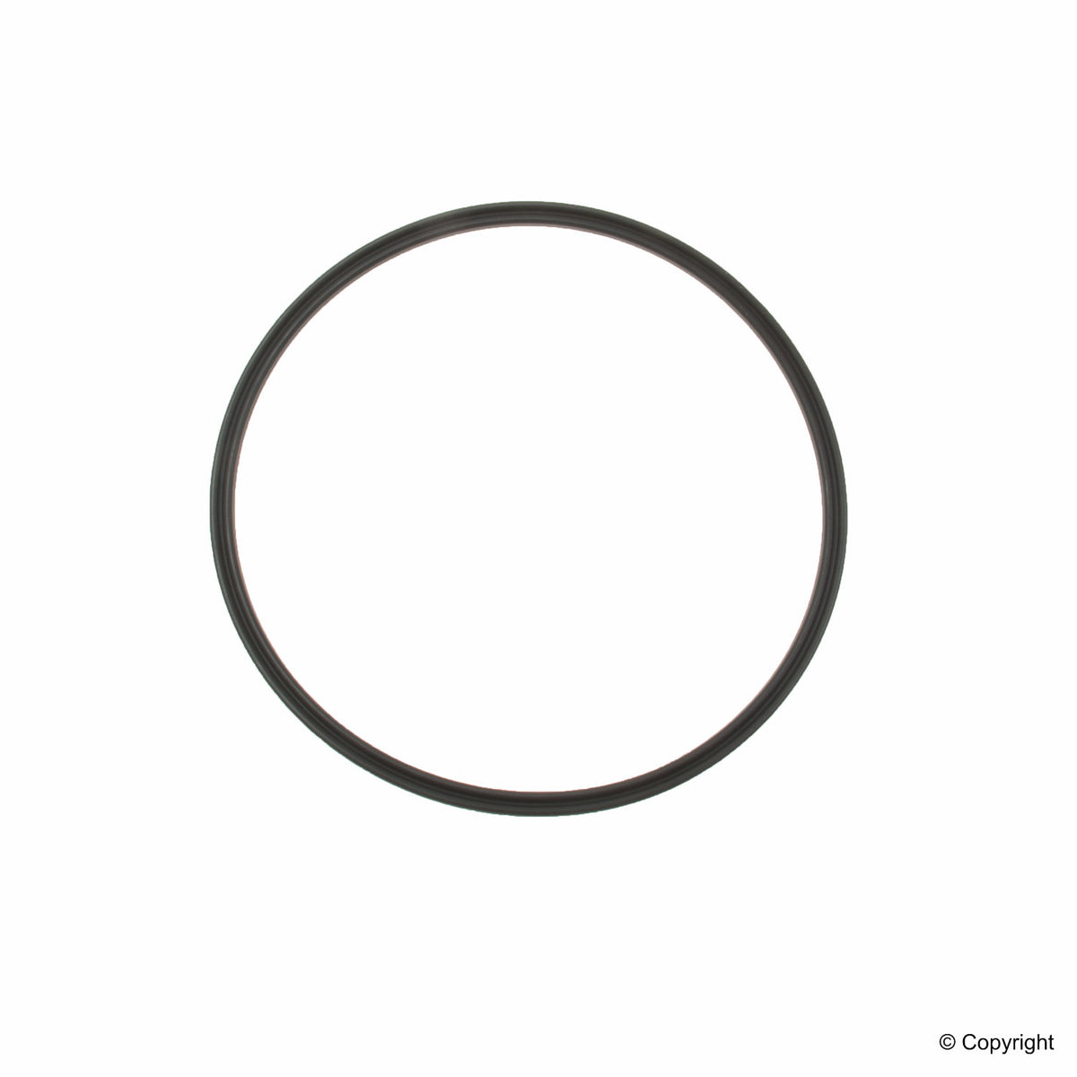 Genuine Parts Company Fuel Tank Sending Unit O-Ring