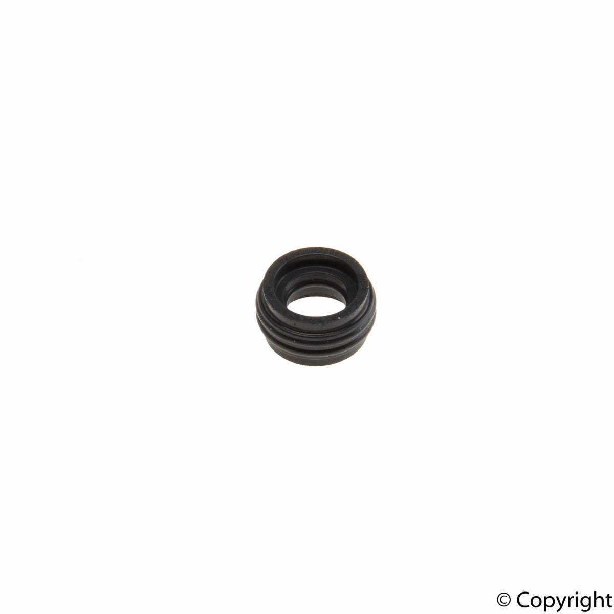 Genuine Parts Company Brake Master Cylinder Plug