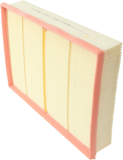Genuine Parts Company Air Filter