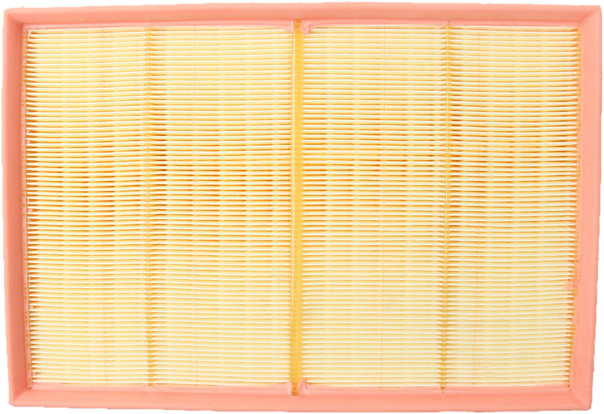 Genuine Parts Company Air Filter
