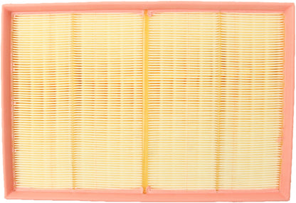 Genuine Parts Company Air Filter