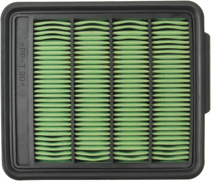 Genuine Parts Company Air Filter