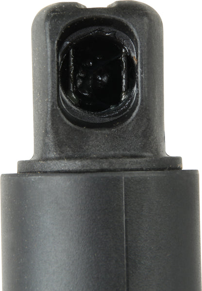 Genuine 1669803664