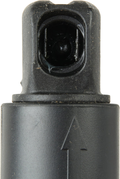 Genuine 1669803664