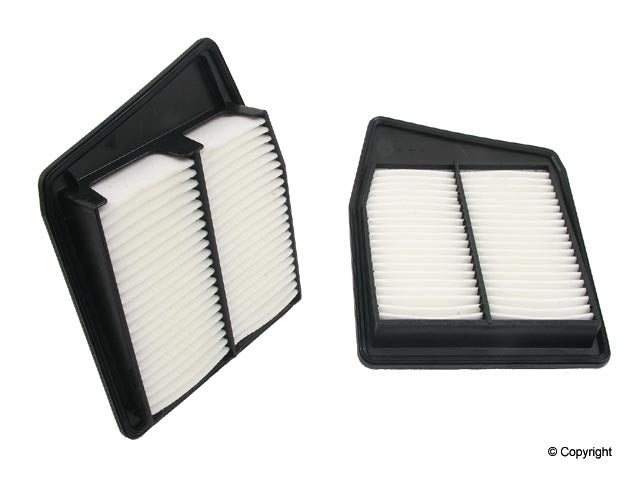 Genuine Parts Company Air Filter