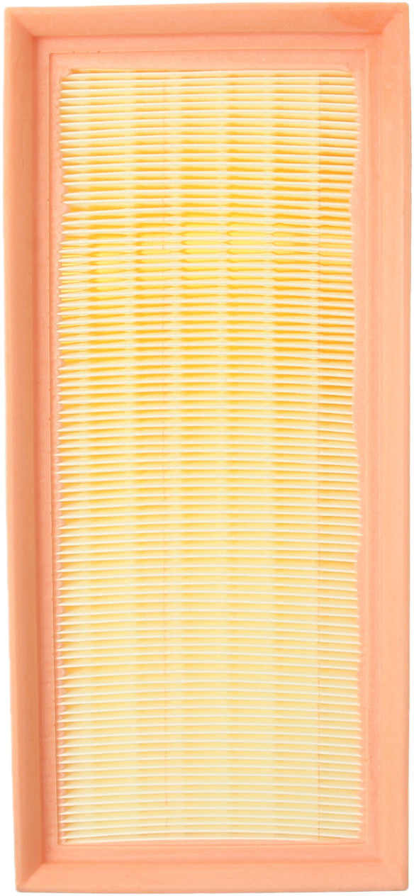 Genuine Parts Company Air Filter