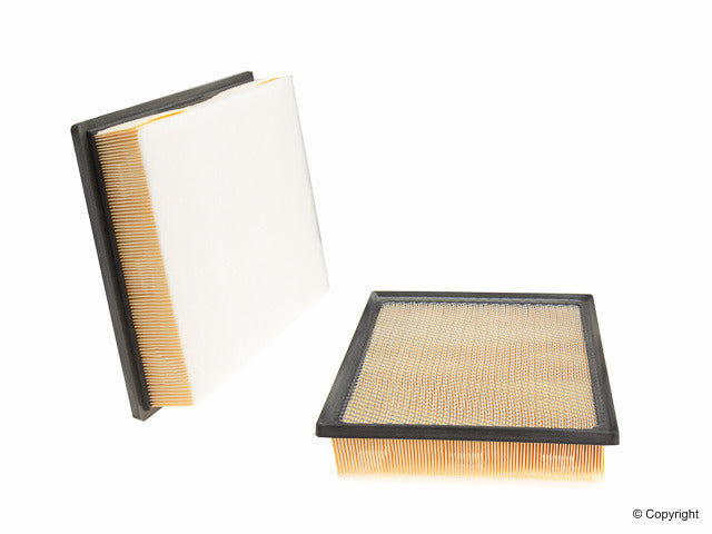 Genuine Parts Company Air Filter