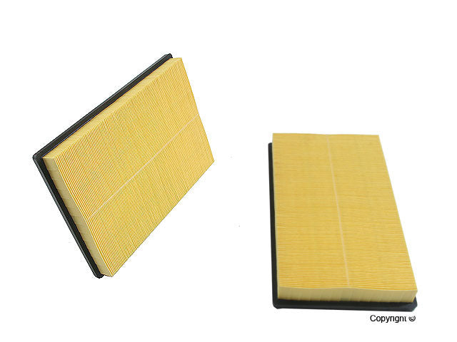 Genuine Parts Company Air Filter