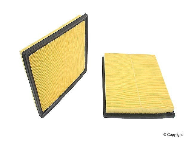 Genuine Parts Company Air Filter