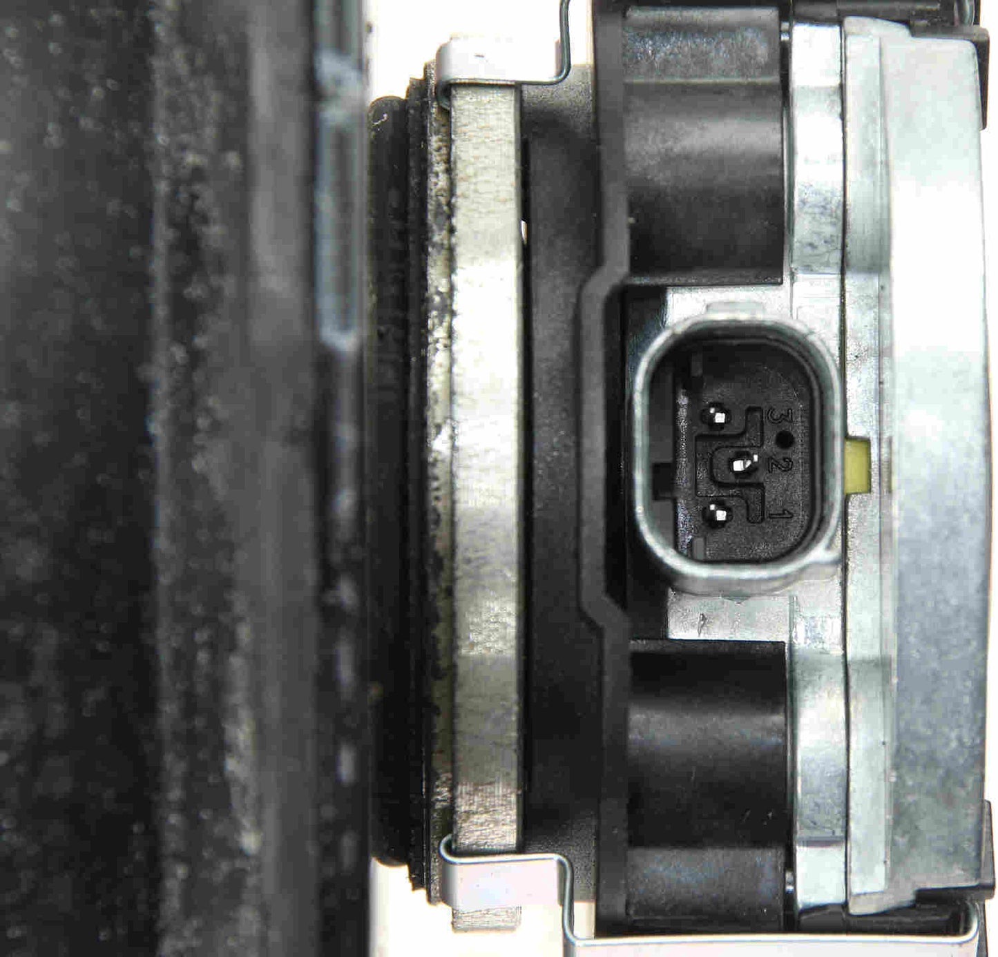 Genuine Parts Company Suspension Strut Assembly