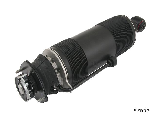 Genuine Parts Company Suspension Strut Assembly