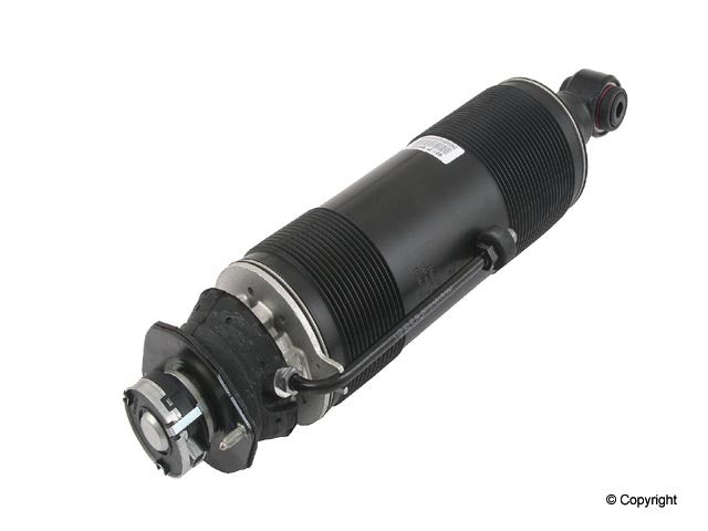 Genuine Parts Company Suspension Strut Assembly