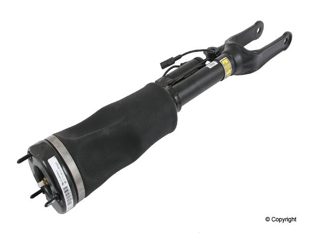 Genuine Parts Company Suspension Strut Assembly