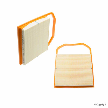 Genuine Parts Company Air Filter