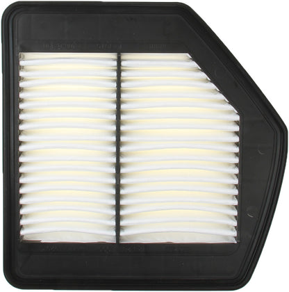 Genuine Parts Company Air Filter