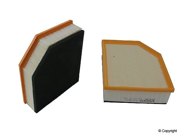 Genuine Parts Company Air Filter