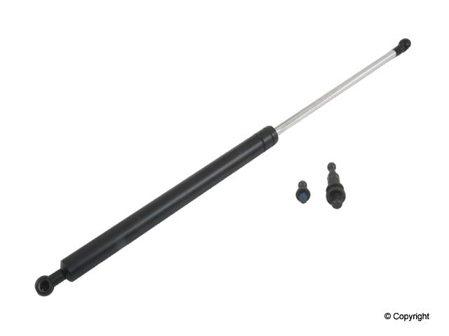 Genuine Parts Company Hood Lift Support