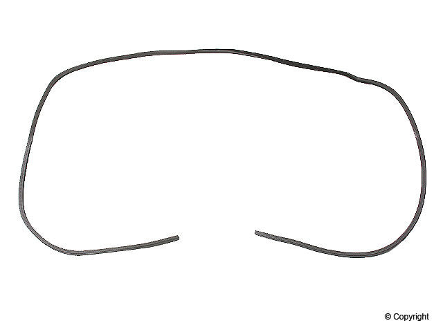 Genuine Parts Company Sunroof Seal