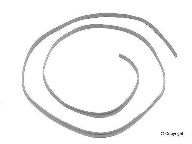 Genuine Parts Company Sunroof Seal