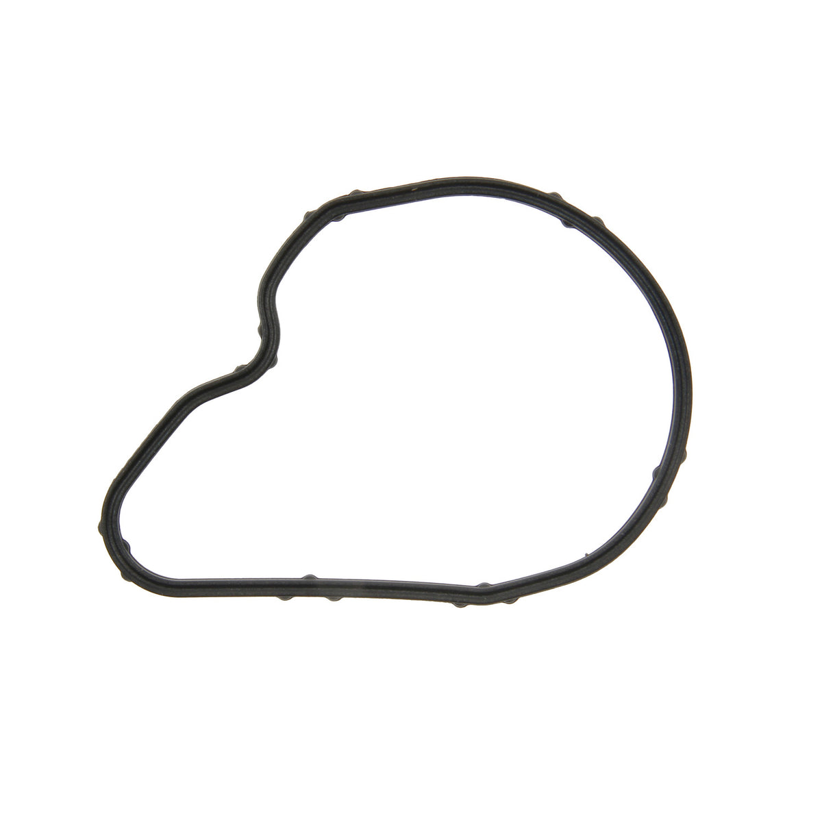 Genuine Parts Company Vacuum Pump Gasket