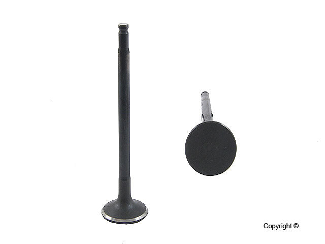 Genuine Parts Company Engine Intake Valve