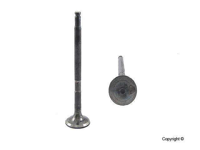 Genuine Parts Company Engine Exhaust Valve