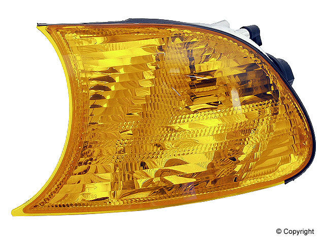 Genuine Parts Company Turn Signal Light Assembly