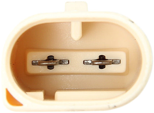 Genuine Parts Company Exterior Light Bulb Socket