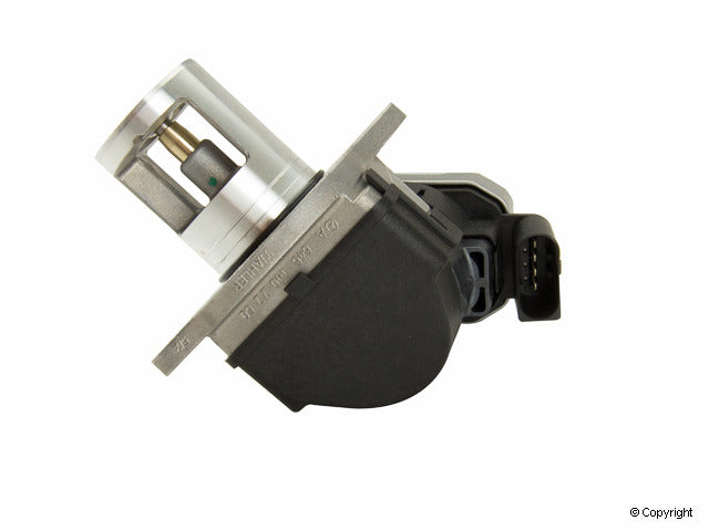 Genuine Parts Company EGR Valve