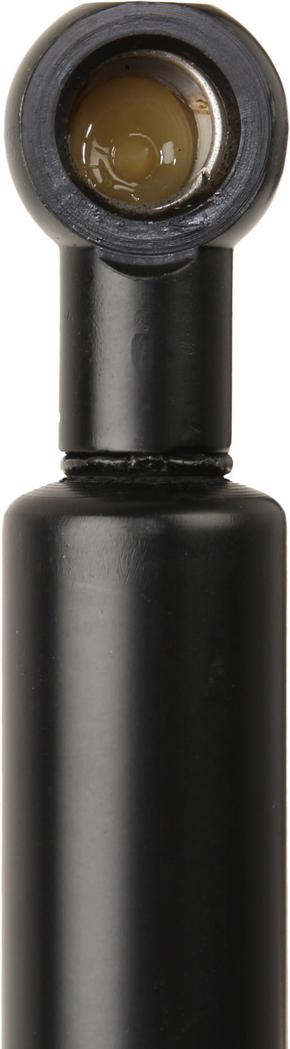 Genuine Parts Company Hatch Lift Support