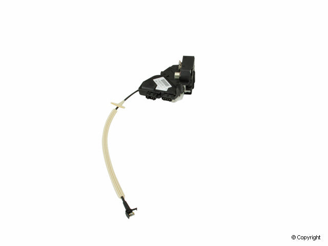 Genuine Parts Company Door Lock Assembly