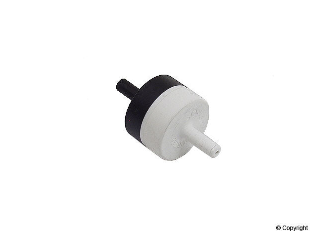 Genuine Parts Company Air Pump Check Valve