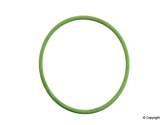 Genuine Parts Company Fuel Pump O-Ring