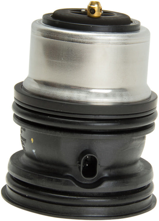 Genuine Parts Company Engine Coolant Thermostat