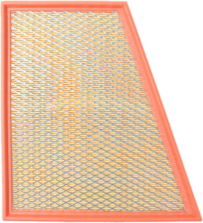 Genuine Parts Company Air Filter