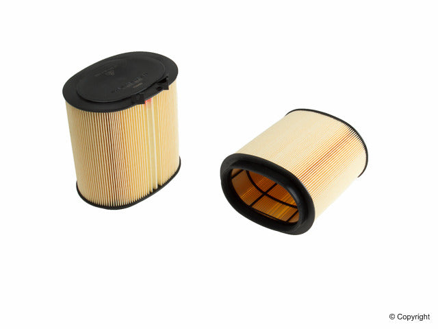 Genuine Parts Company Air Filter