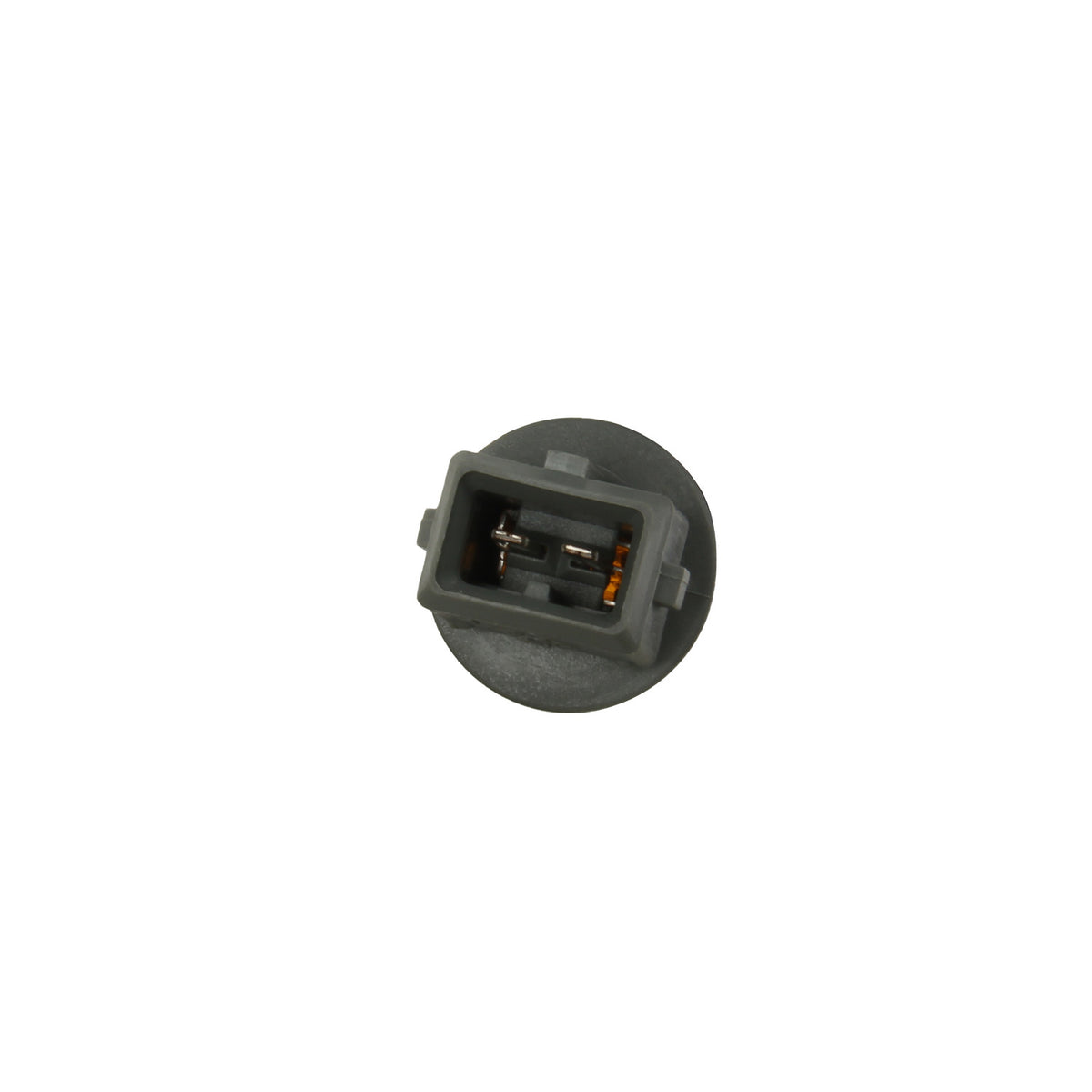 Genuine Parts Company Turn Signal Light Assembly