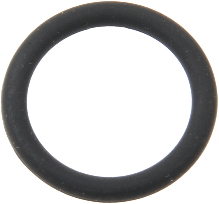 Genuine Parts Company Vacuum Pump O-Ring