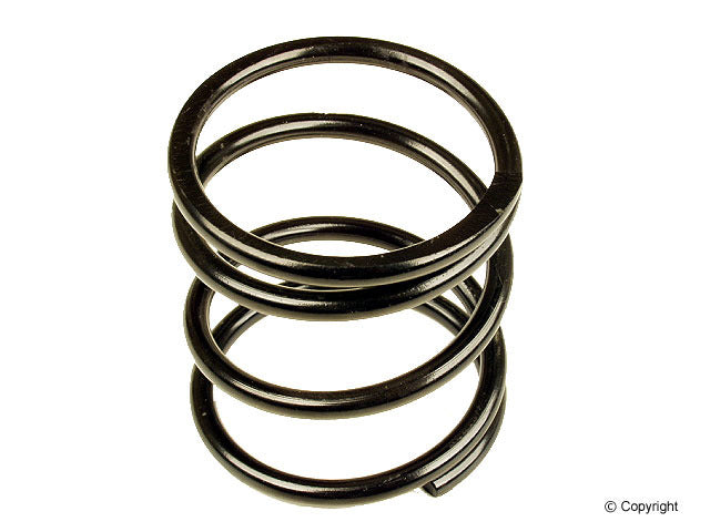 Genuine Parts Company Auto Trans Mount Spring