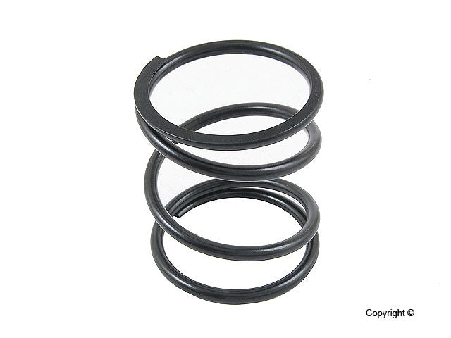 Genuine Parts Company Auto Trans Mount Spring